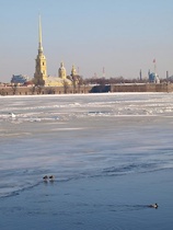 Reka pado ldom. Kuva: Anna Simojoki